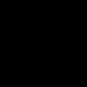 Meet your Posher, Lilly